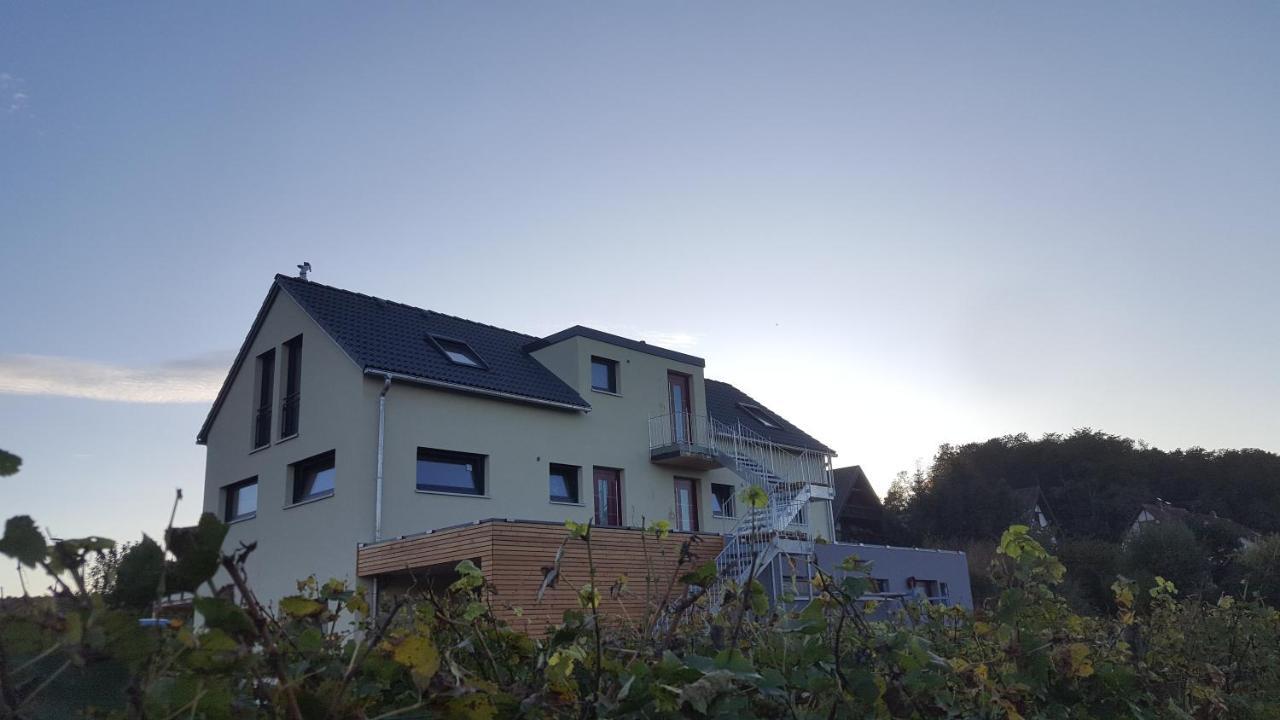 Gaestehaus Casa Luna - Paradiesische Ferienwohnungen Am Kaiserstuhl! Bischoffingen Exterior foto