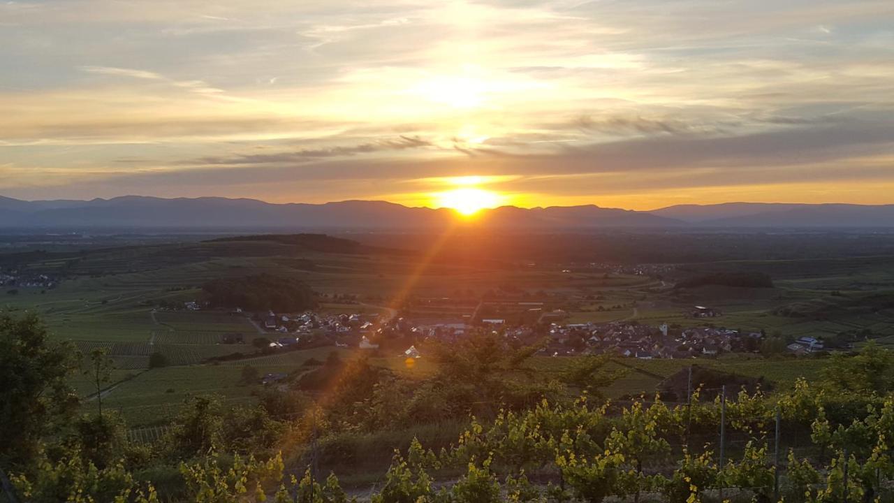 Gaestehaus Casa Luna - Paradiesische Ferienwohnungen Am Kaiserstuhl! Bischoffingen Exterior foto