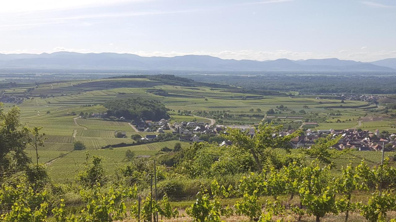 Gaestehaus Casa Luna - Paradiesische Ferienwohnungen Am Kaiserstuhl! Bischoffingen Exterior foto